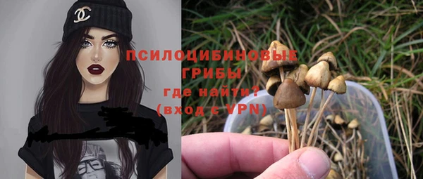 метадон Медвежьегорск