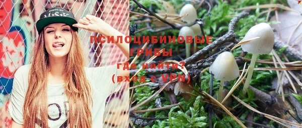 метадон Медвежьегорск