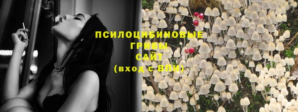 амф Мегион