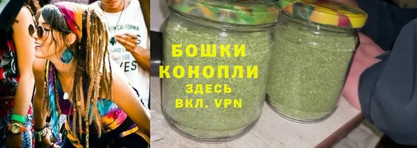 амф Мегион