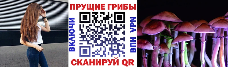 Галлюциногенные грибы Cubensis  Шатура 