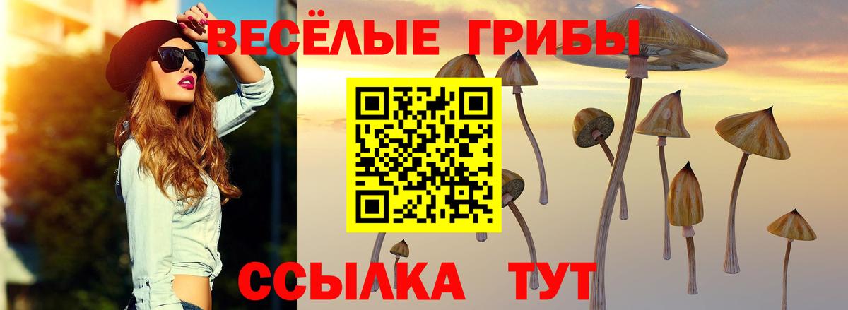 Псилоцибиновые грибы MAGIC MUSHROOMS Шатура