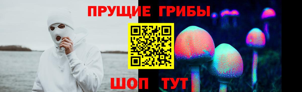 Псилоцибиновые грибы мицелий  Галлюциногенные грибы мицелий  Вход с VPN  Шатура 